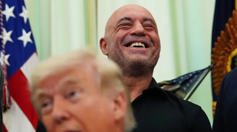 Trump speeds review of psychedelics after Joe Rogan texted him about ibogaine. 'Sounds great. Do you want FDA approval? Let's do it' | Fortune