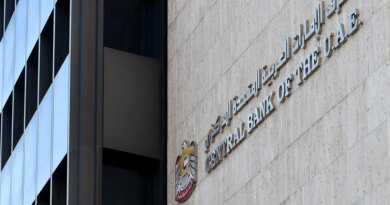 UAE in talks with U.S. for possible financial lifeline, WSJ says | Fortune