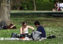 People sitting in a park in the sunshine having a picnic.
