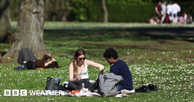 People sitting in a park in the sunshine having a picnic.