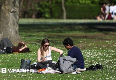 People sitting in a park in the sunshine having a picnic.