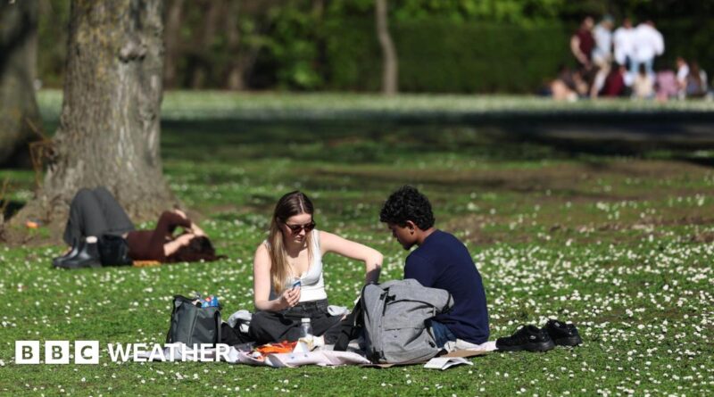People sitting in a park in the sunshine having a picnic.