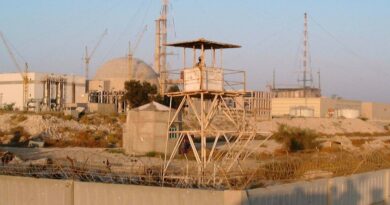 UN nuclear agency chief ‘deeply concerned’ by reports of latest attack on Iran power plant
