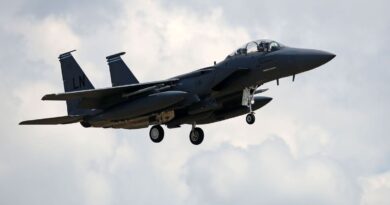 US rescues 1 crew member after fighter jet downed over Iran