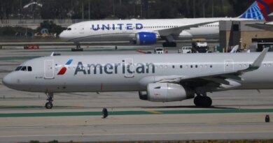 United CEO has pitched possible combination with rival American | Fortune