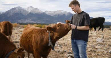 Unpacking Peter Thiel's big bet on solar-powered cow collars | TechCrunch