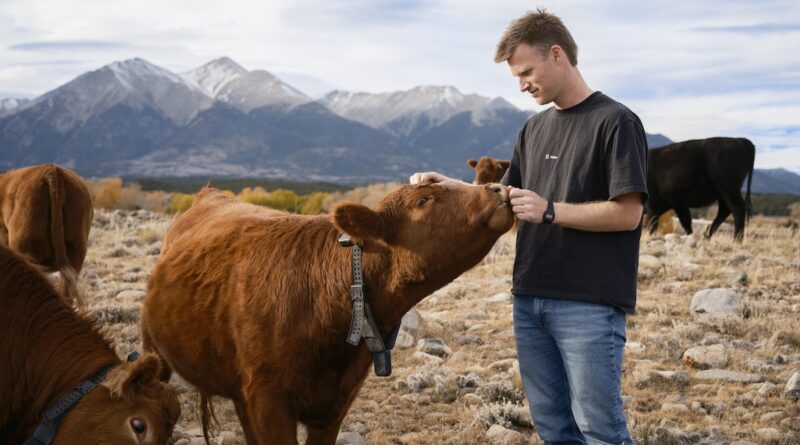 Unpacking Peter Thiel's big bet on solar-powered cow collars | TechCrunch
