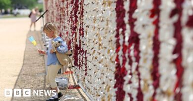 Watch: 20,000 teddy bears highlight plight of missing Ukrainian children