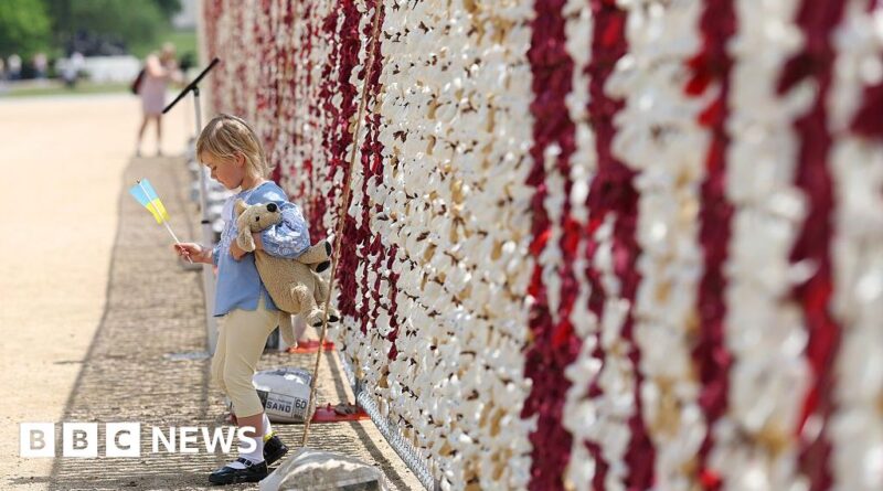 Watch: 20,000 teddy bears highlight plight of missing Ukrainian children