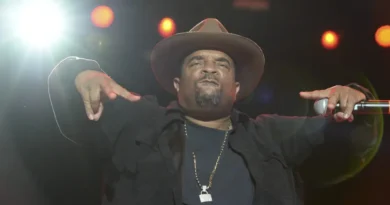 We like big bubbles and we cannot lie