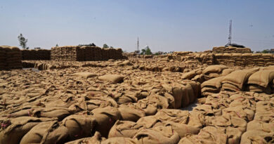 World food price rise set to continue if Iran war lasts, FAO says