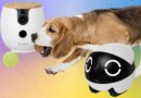 You Live in a Surveillance State. Your Pets Should, Too (With These WIRED-Tested Pet Cameras)