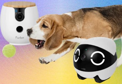 You Live in a Surveillance State. Your Pets Should, Too (With These WIRED-Tested Pet Cameras)