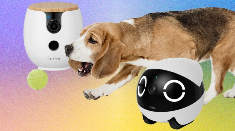 You Live in a Surveillance State. Your Pets Should, Too (With These WIRED-Tested Pet Cameras)