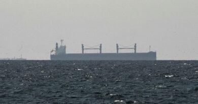 Zelenskiy offers Ukraine's maritime expertise with Strait of Hormuz