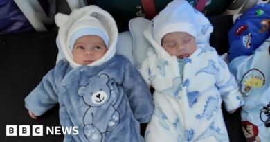 'I try to stay strong': Mum who says home was bombed in Lebanon speaks to BBC