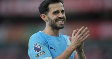 ‘Every good story comes to an end’: Silva to leave Man City this season