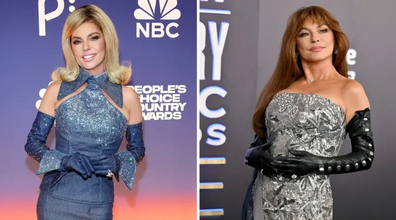 15 of the most daring looks Shania Twain has ever worn