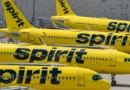 A Spirit Airlines fan has launched Spirit 2.0, a crowdsourcing effort to buy the airline: 'The people can own it'