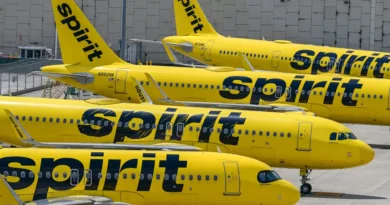 A Spirit Airlines fan has launched Spirit 2.0, a crowdsourcing effort to buy the airline: 'The people can own it'