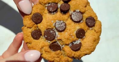 A close-up of hands holding a chocolate chip cookie with visible sea salt flakes on top.