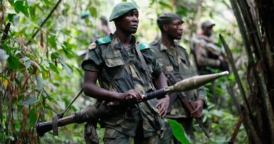 DRC soldiers carrying weapons in a forest whilst patrol against ADF rebels near Beni in North-Kivu province