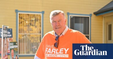 Barnaby Joyce blames campaign ‘pressure’ after One Nation Farrer candidate contradicts party on immigration
