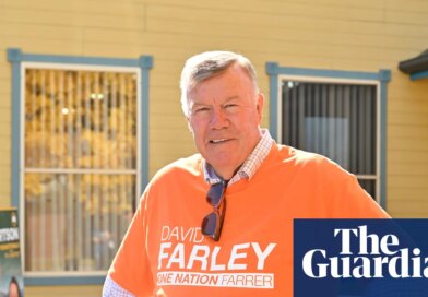 Barnaby Joyce blames campaign ‘pressure’ after One Nation Farrer candidate contradicts party on immigration
