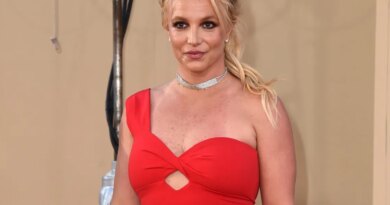 Britney Spears pleads guilty to lesser 'wet reckless' charge in DUI case to avoid jail time | Fortune
