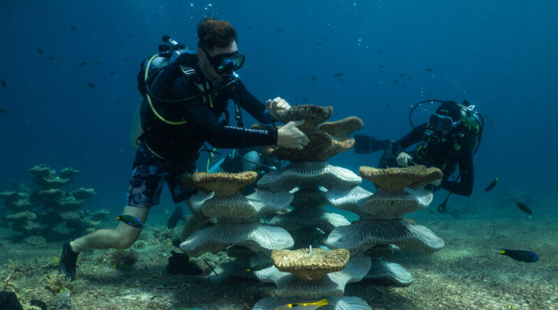 Can Concrete Molds Revive Coral Reefs Ruined by Bombs and Climate Change?