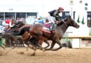 Commitment Makes Kentucky A Leader In Thoroughbred Racing