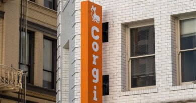 Corgi announces $106M raise at $2.6B valuation — double what it was worth 3 weeks ago | TechCrunch