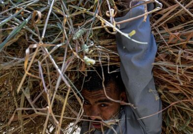 Egypt farmers hit by Iran war price surge