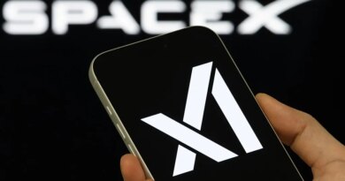Elon Musk's SpaceXAI has been bleeding staff since its merger | TechCrunch