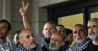 First Gaza flotilla activists arrive in Turkey after Israel deportation