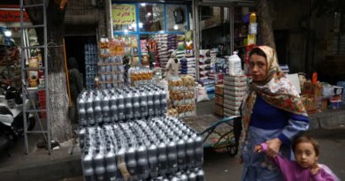 People walk in a local market in Tehran