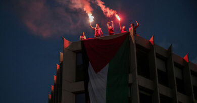 Freed Gaza flotilla activists allege Israeli abuse including rape