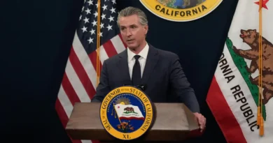 Gavin Newsom proposes a California digital software tax