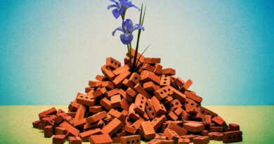 Gaza Is Rebuilding With Lego-Like Bricks Made From Rubble