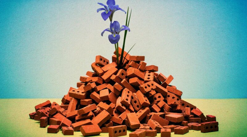Gaza Is Rebuilding With Lego-Like Bricks Made From Rubble
