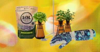 Get the Dirt on Better Plant and Gardening Gifts