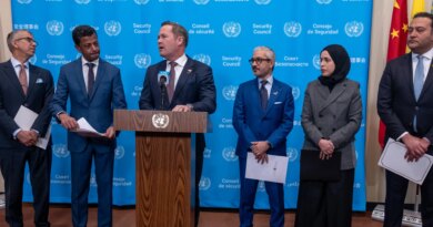Gulf states urge UN action to ensure Strait of Hormuz safety
