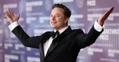 Elon Musk at the tenth Breakthrough Prize ceremony