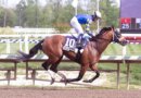 How To Watch The 2026 Preakness Stakes On TV And Streaming
