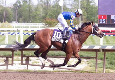 How To Watch The 2026 Preakness Stakes On TV And Streaming