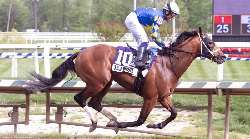 How To Watch The 2026 Preakness Stakes On TV And Streaming