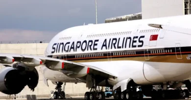 I flew economy on Singapore Airlines for the first time. It was so much better than my trips on US carriers.