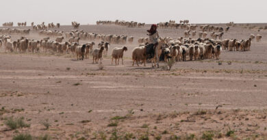 In Iraqi Desert, Two Israeli Outposts Were Kept Secret for Months