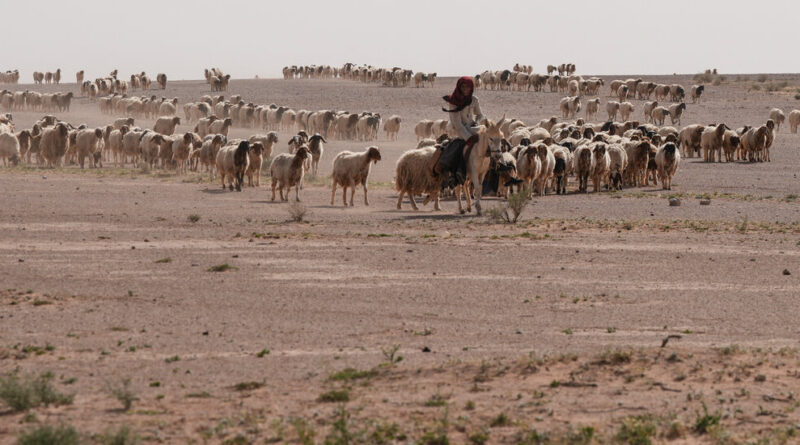 In Iraqi Desert, Two Israeli Outposts Were Kept Secret for Months