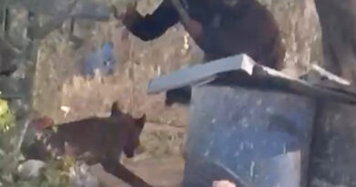 In West Bank, Latest Victim of Israeli Settler Violence Shocks in a New Way In West Bank, Latest Victim of Israeli Settler Violence Shocks in a New Way